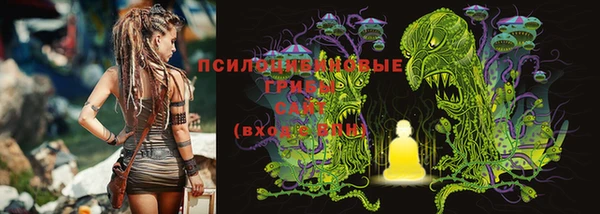 стафф Алексеевка