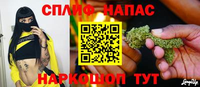прущие грибы Конаково