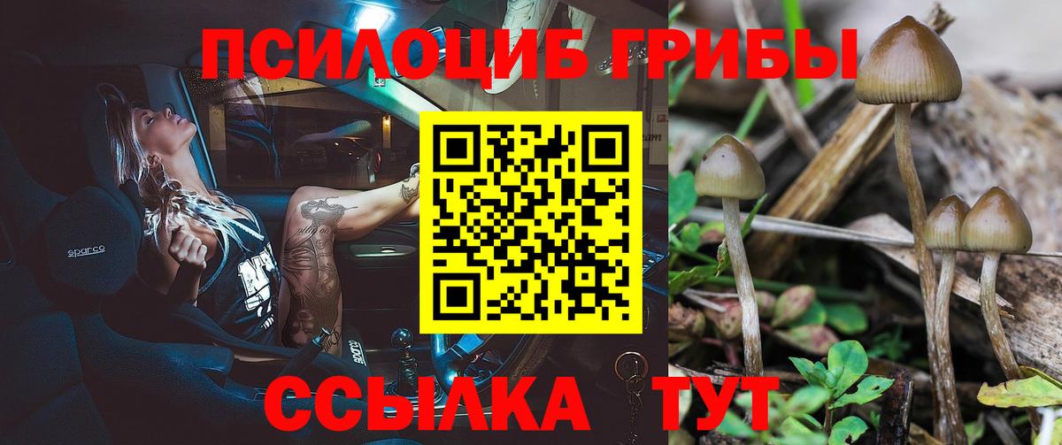 Псилоцибиновые грибы мухоморы  Галлюциногенные грибы Magic Shrooms  Вход с VPN  Качканар 